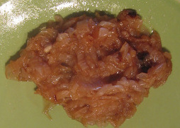 Caramelized Onions Ⓥ