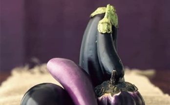 Vegetarian Dishes from Across the Middle East