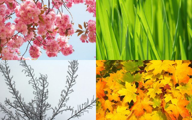 Seasonal recipes
