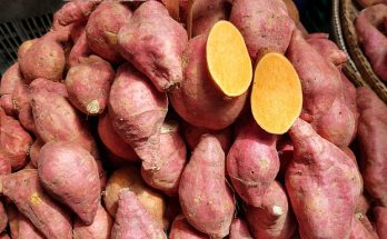 Sweet potato recipes
