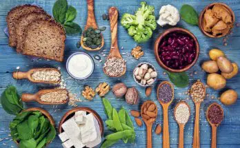 Vegan protein