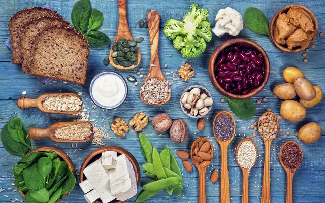 Vegan protein