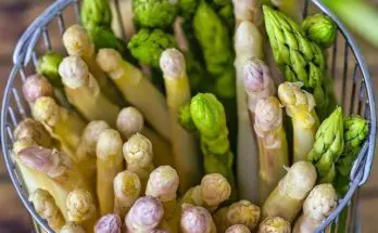 Asparagus