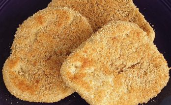 Breaded chick-en patties