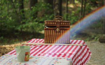 Picnic